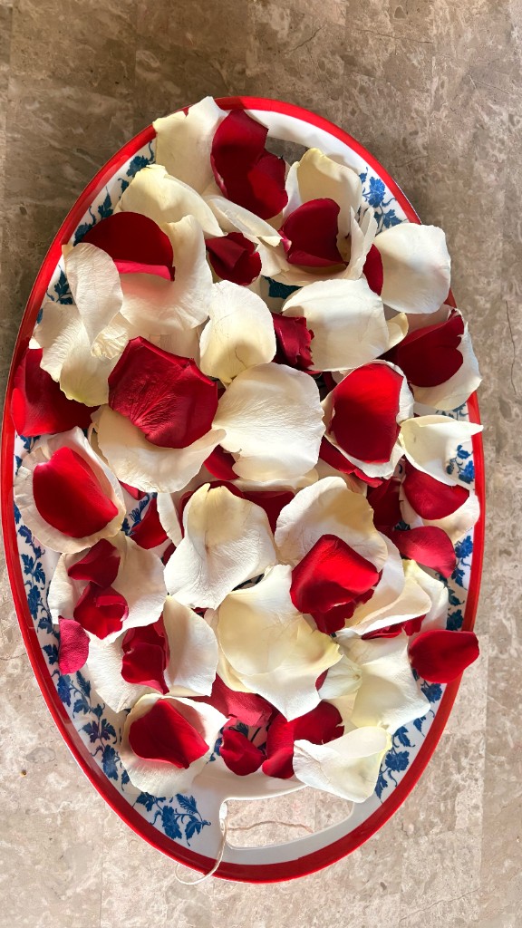 Tray of fresh red and white rose petals